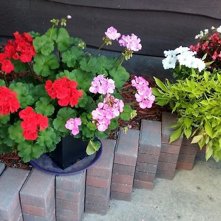 ساسكاتون Wild Rose Bed & Breakfast المظهر الخارجي الصورة