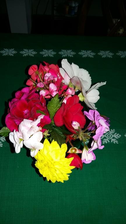 ساسكاتون Wild Rose Bed & Breakfast المظهر الخارجي الصورة